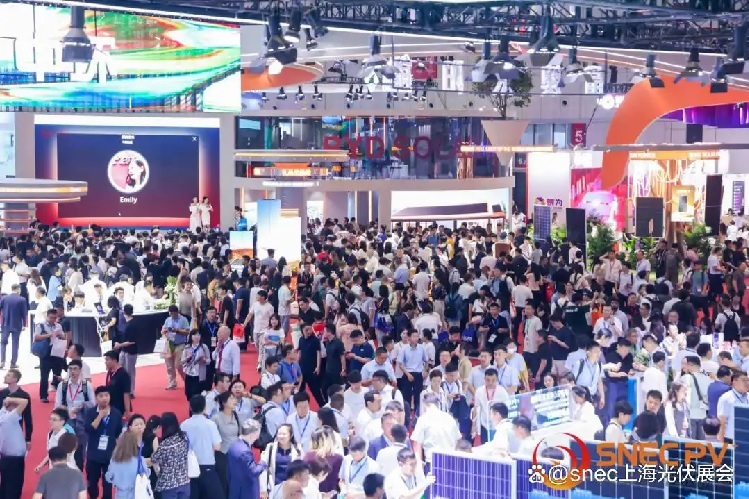 光伏大party：自救蓋過狂歡!